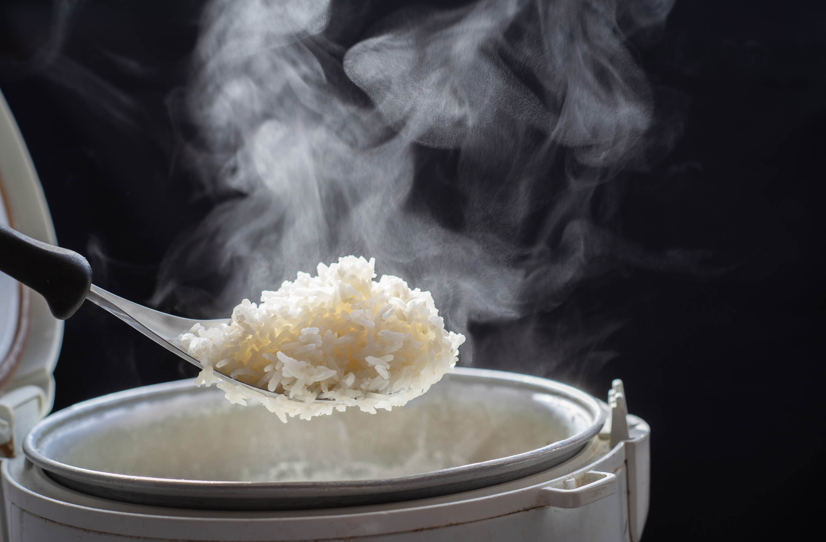Riz, Arroz de Pato, cuisine portugaise